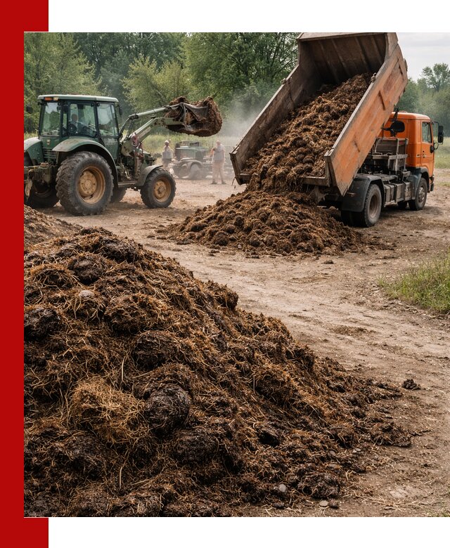 Доставка навоза самосвалами в Лангепасе для сельхозпотребностей